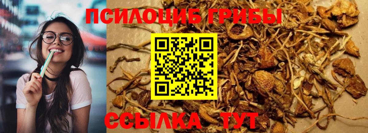Псилоцибиновые грибы MAGIC MUSHROOMS Нижневартовск